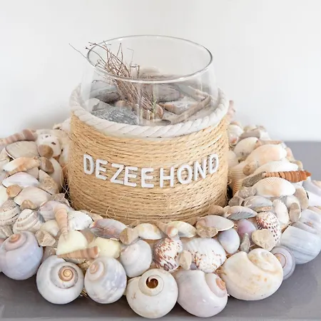 Cozy & Texel Escape For Two